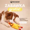 Paka Zwierzaka Huhn Hundespielzeug