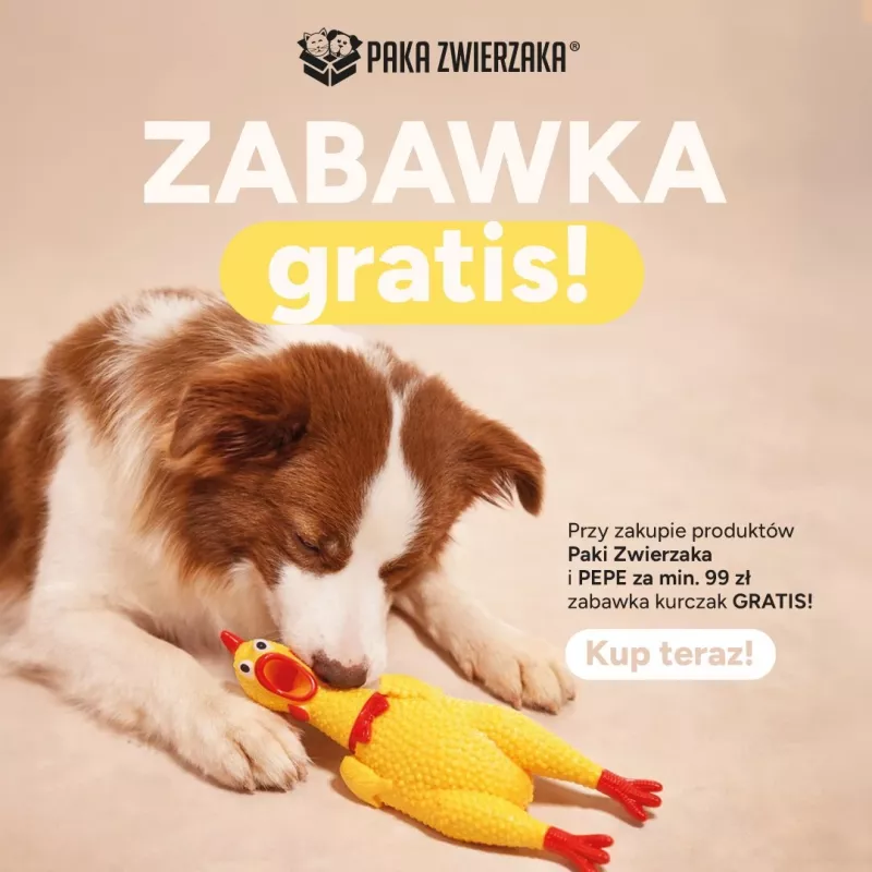 Paka Zwierzaka Huhn Hundespielzeug