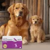 Softgel-Kapseln JM Sante Multiway Vet Duocaps Osteo — Gelenkunterstützung für ausgewachsene Hunde und Katzen, 150-g-Packung