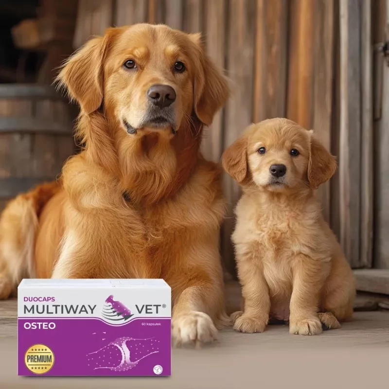 Softgel-Kapseln JM Sante Multiway Vet Duocaps Osteo — Gelenkunterstützung für ausgewachsene Hunde und Katzen, 150-g-Packung
