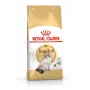 Trockenfutter für Katzen Royal Canin Ragdoll Adult 2 kg — Huhn, 32 % Protein, 18 % Fett