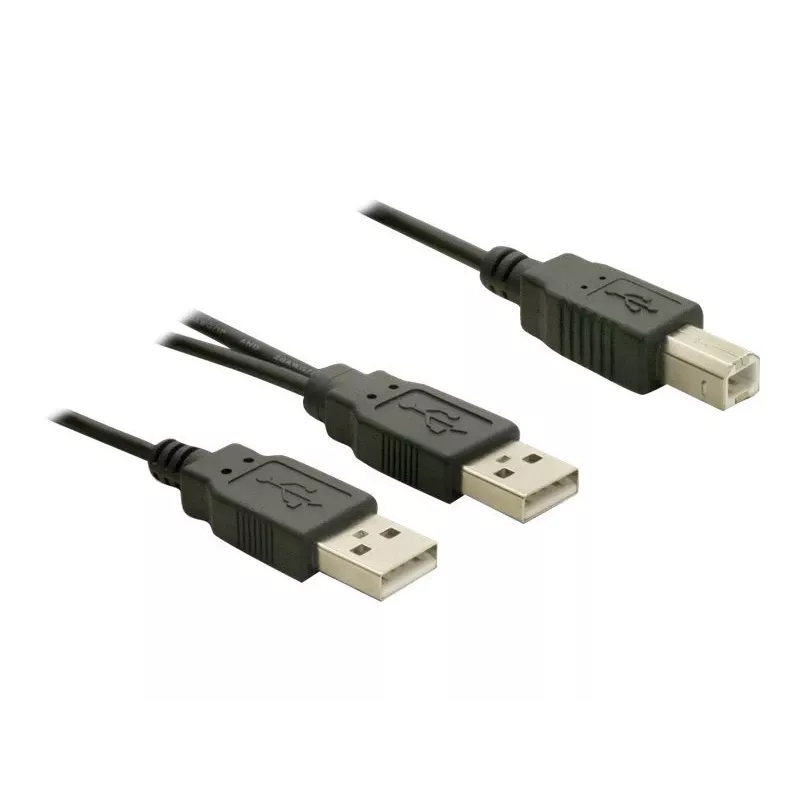 USB-Kabel DeLOCK USB-B/USB-A Kabel 1 m Schwarz