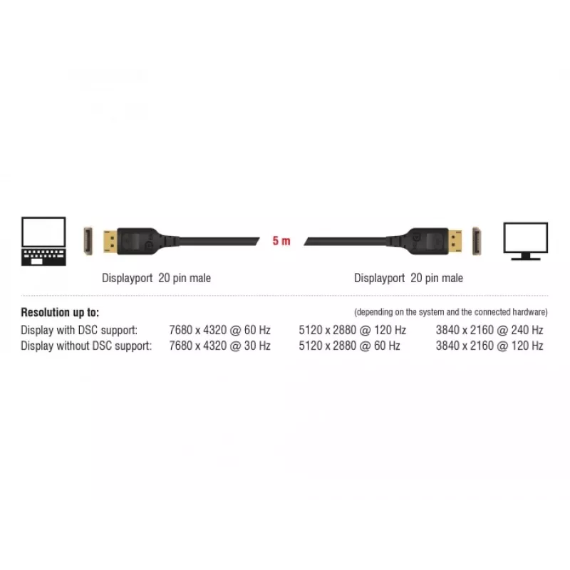 DisplayPort-Kabel DeLOCK 85661 3 m Schwarz