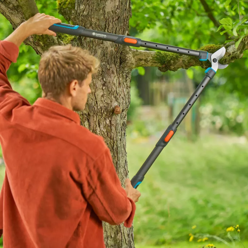 Gardena Astschere TeleCut Pro L grau/türkis 65 cm - 90 cm (12041-88)