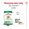 ROYAL CANIN Mini Ageing Adult +12 - Trockenfutter für Hunde - 3,5 kg