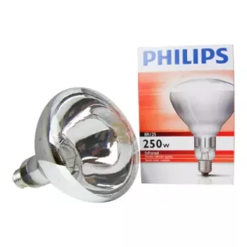 Philips 60800122044 Glühlampe 250 W