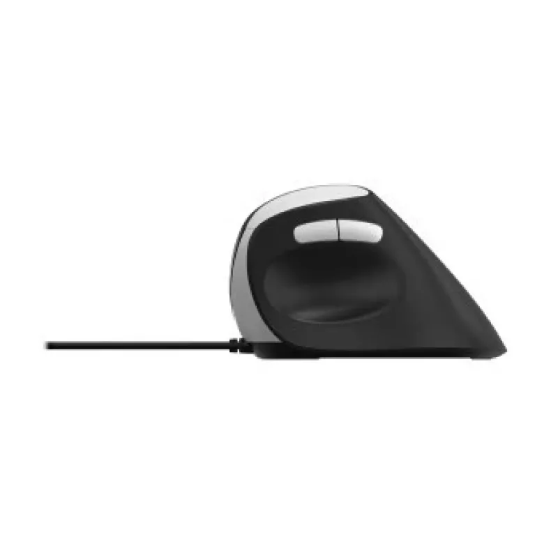 Maus Rapoo EV200 Office USB Typ-A