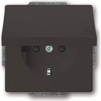 Busch-Jaeger SCHUKO Steckdoseneinsatz anthrazit 20 EUKB-81 (2CKA002018A1517)