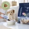 ADDVENA Power of Nature Junior Small Lamb - Trockenfutter für Hunde - 10 kg