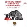 ROYAL CANIN Savour Exigent – Trockenfutter für Katzen – 4 kg
