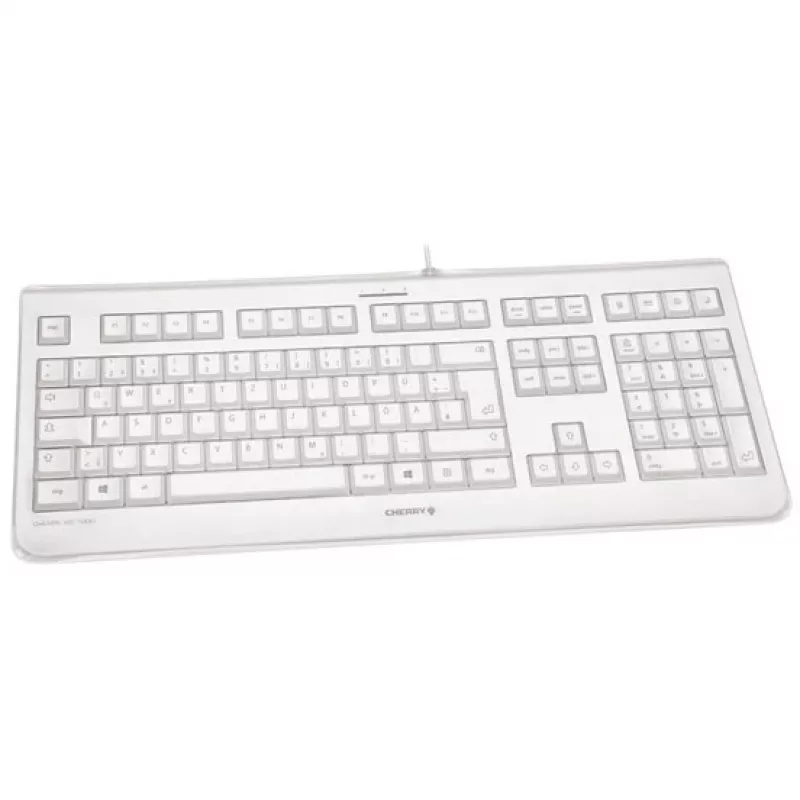 CHERRY KC 1068 Tastatur USB Schweizer Layout Grau