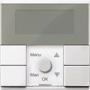 Merten Timer Switch-Module Standard (MEG5754-0419)