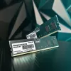 Desktop-/Server-Arbeitsspeicher PATRIOT Signature 16 GB DDR5 4800 MHz ECC 288-Pin UDIMM 1,1 V