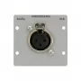 XLR-Steckdose Kindermann 7444000412