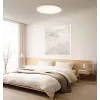 Intelligente Xiaomi Deckenleuchte D30 WiFi 30W