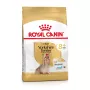 Trockenfutter für Hunde Royal Canin Yorkshire Terrier 8+ 1,5 kg — Geflügel, Senior kleine Rasse, 29 % Protein, 18 % Fett