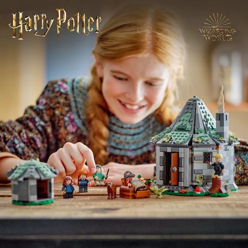 LEGO HARRY POTTER 76428 Hagrids Hütte – Ein unerwarteter Besuch
