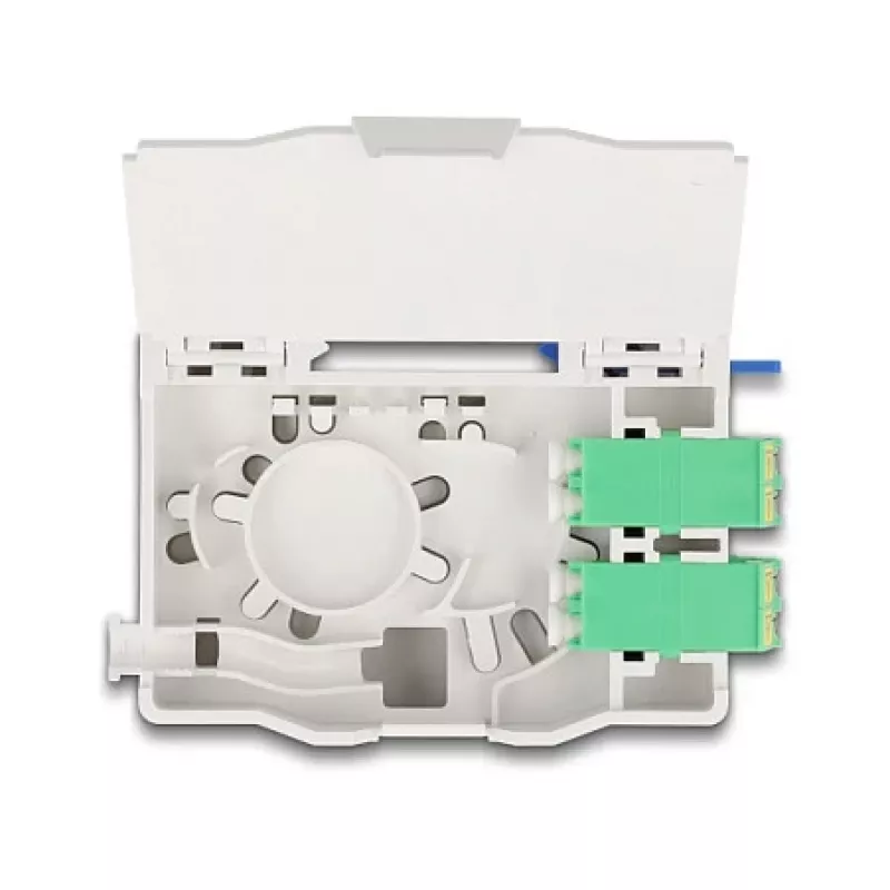 Delock 88098 Solid-State-Laufwerk