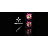 LED Neon Spiegel Licht MANTA MASNL130PK Style Neon Lights BEAUTY, pinkfarbener Akzent, dekorative Spiegelbeleuchtung