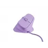 NATEC Crake 2 Pro Maus Universal Rechtshänder USB Typ-A Optisch 12800 DPI