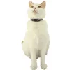 ZOLUX Chatouille schwarz - Katzenhalsband
