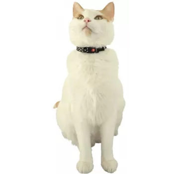 ZOLUX Chatouille schwarz - Katzenhalsband