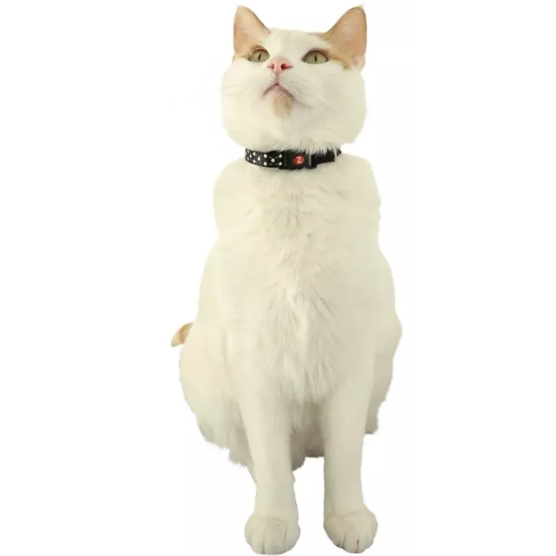 ZOLUX Chatouille schwarz - Katzenhalsband