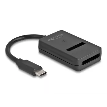 DeLOCK Combo-Konverter für M.2 NVMe PCIe SATA SSD USB Type-C 10 Gbit/s