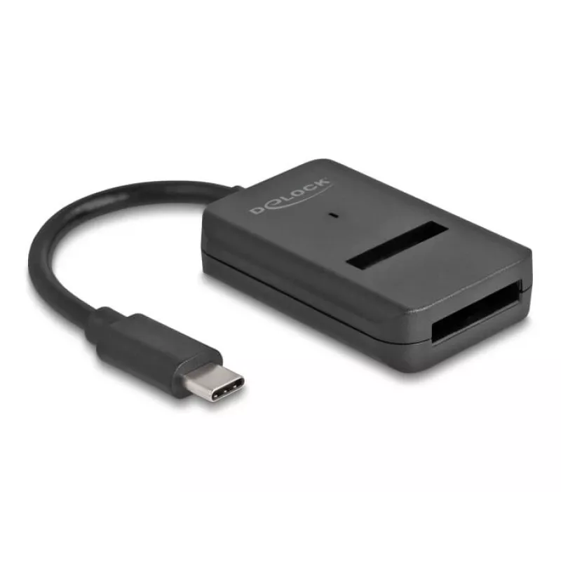 DeLOCK Combo-Konverter für M.2 NVMe PCIe SATA SSD USB Type-C 10 Gbit/s