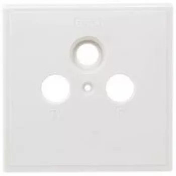 Axing SZU 2-01 Sockets-Abdeckblende - Maße 80 x 80 mm Passend für BSD 963-xx (SZU 2-01)