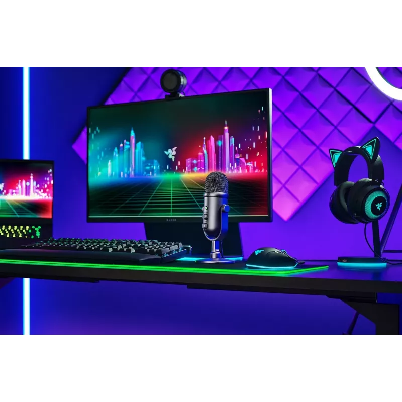 Studio-Mikrofon Razer SEIREN V2 PRO