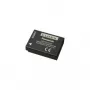 Batterie Panasonic DMW-BCG10E Lithium-Ionen 895 mAh