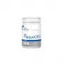 Dental powder VETEXPERT Plaque Off 40 g — oral health support for dogs and cats, powder, preservative‑free