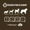 PUPIL Premium All Meat Gold Ente - Nassfutter für Hunde - 800g