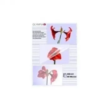 1x25 Olympia Laminierfolien DIN A3 80 Micron 9180