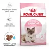 Trockenfutter für Katzen Royal Canin Mother & Babycat 2 kg – Huhn, für trächtige und säugende Kätzinnen und Kätzchen (Junior)