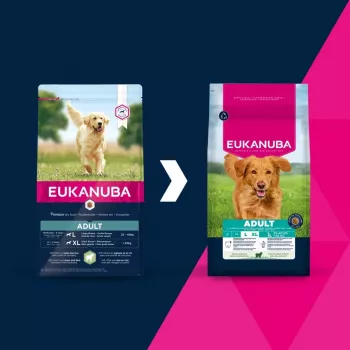 Trockenfutter für Hunde EUKANUBA Adult Large Breed Lamb & Rice 12 kg – Alleinfuttermittel für ausgewachsene Hunde großer und riesiger Rassen