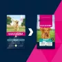 Trockenfutter für Hunde EUKANUBA Adult Large Breed Lamb & Rice 12 kg – Alleinfuttermittel für ausgewachsene Hunde großer und riesiger Rassen