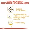 Trockenfutter für Hunde Royal Canin Chihuahua Adult 1,5 kg — Huhn, 28 % Protein, kleine/zwergwüchsige Rasse