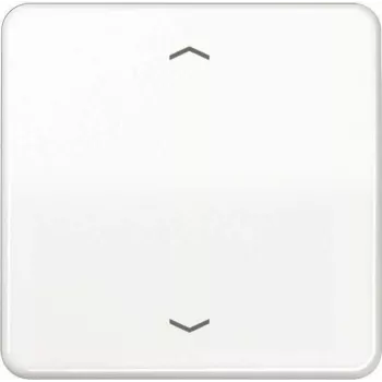 JUNG CD 1700 P WW Steuertaste Standard Pfeilsymbole CD1700PWW