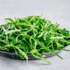 Saatband — Apte Rukola (Eruca sativa) 6 m für Haus- und Gartenanbau