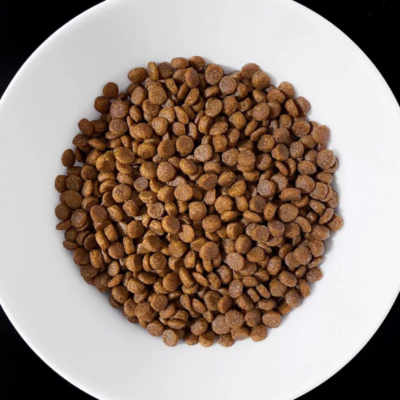 VET RESPONSE Gastrointestinal - Trockenfutter für Katzen - 1,6kg