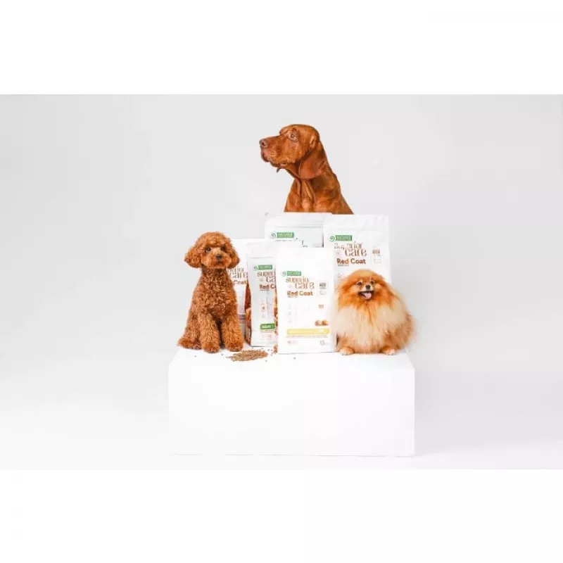 Trockenfutter für Hunde nature's protection Superior Care Red Coat Adult Small breed Getreidefrei Lachs 10 kg
