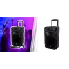 Tragbarer Karaoke-Lautsprecher MANTA SPK5021PRO 20W, 12-Zoll-Tieftöner, 80W RMS, Bluetooth, Akkulaufzeit bis zu 5 Std., SD/USB, Mikrofon- und Gitarreneingänge