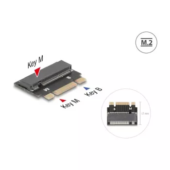 DeLOCK 64342 Interner M.2-Adapter Host-Schnittstelle M.2 Stecker Schwarz
