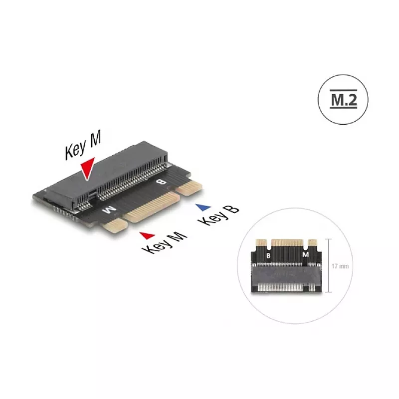 DeLOCK 64342 Interner M.2-Adapter Host-Schnittstelle M.2 Stecker Schwarz