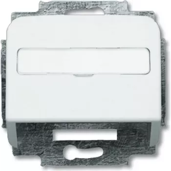 Busch Jaeger 1724-0-1663 Wandplatte/Schalterabdeckung Silber - Weiß (1724-0-1663)