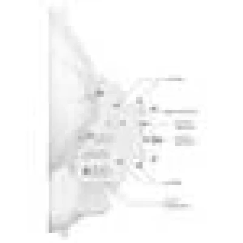 Ubiquiti AirFiber AF-24HD, 2Gbps+ Backhaul, 24GHz (Preis pro Stück)