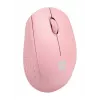 NATEC STORK Maus Home Beidhändig RF Wireless + USB Typ-A Optisch 1600 DPI