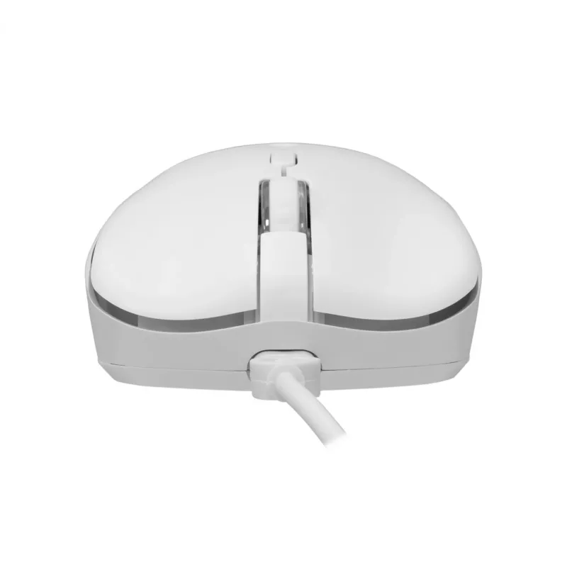 Tastatur-Maus-Kombo Baracuda BGC-012 Orca White – weißes Tastatur- und Maus-Set